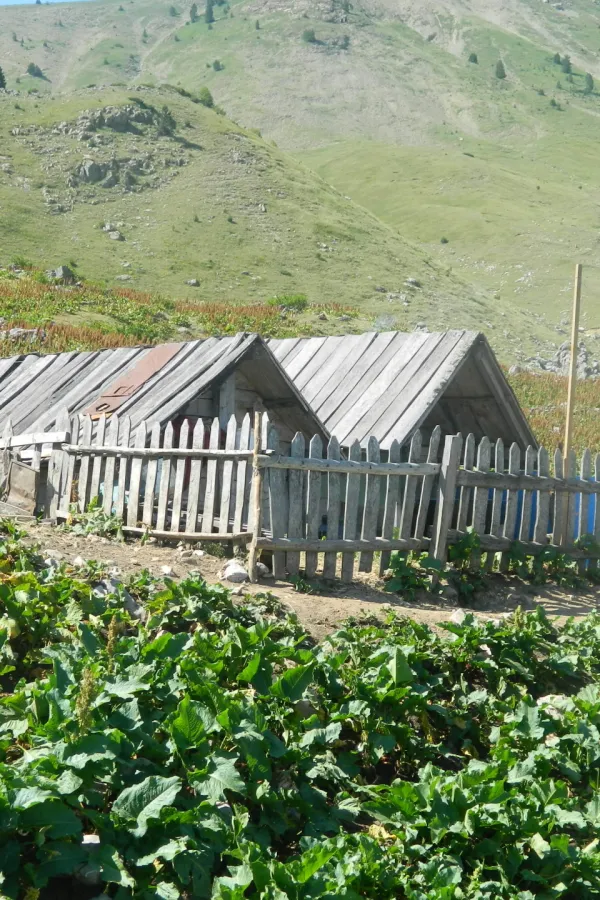 Prazni katuni ispod Komova: Stada sa planina preselila se u pro&scaron;lost