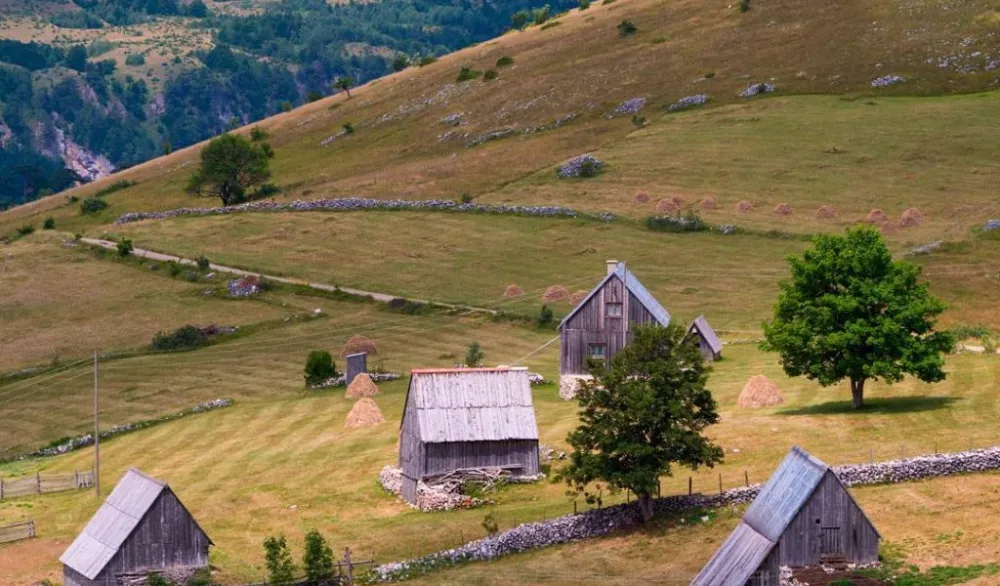 Mala Crna Gora dočekuje nove stanovnike