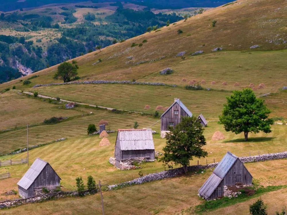 Mala Crna Gora dočekuje nove stanovnike