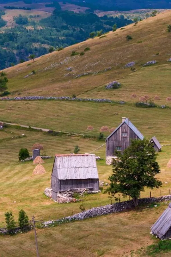 Mala Crna Gora dočekuje nove stanovnike