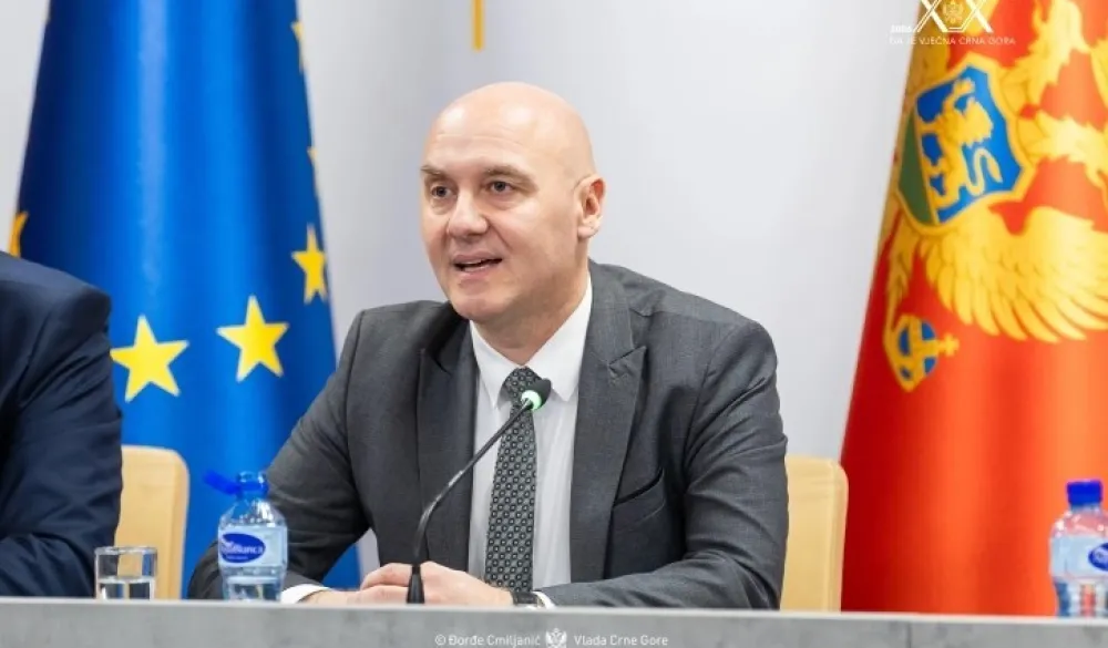 Novica Obradović