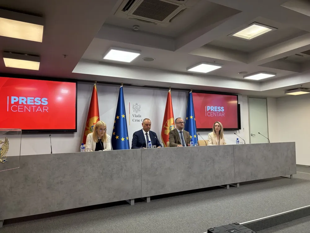 Ćulafić: Sve realnije privremeno zatvaranje Poglavlja 27