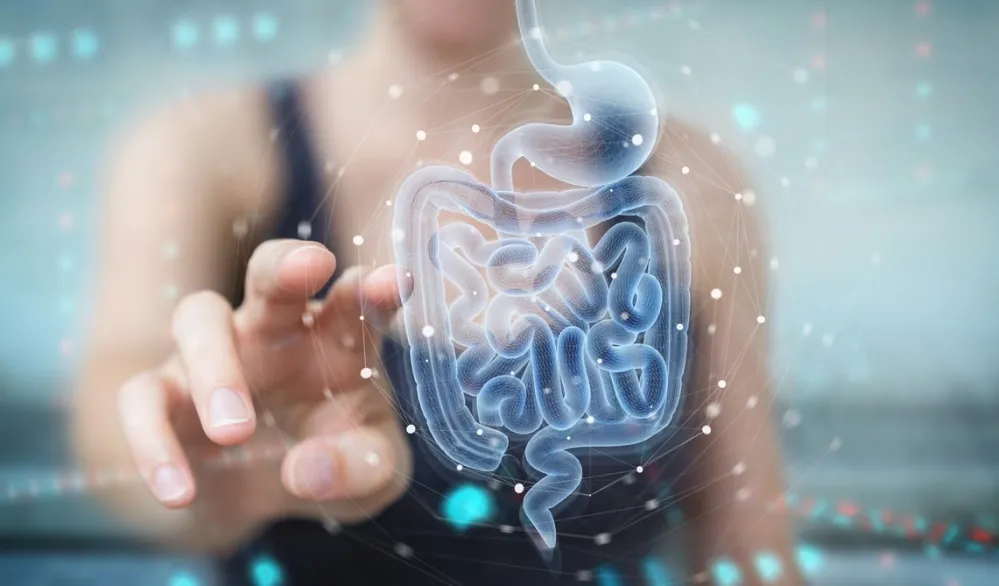 Naučnici povezali jedan vitamin sa iznenađujućim koristima za zdravlje crijeva
