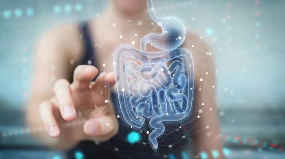 Naučnici povezali jedan vitamin sa iznenađujućim koristima za zdravlje crijeva
