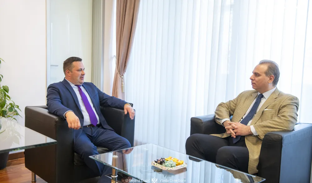 Ivanović i Tomas: Potvrđeni prijateljski i saveznički odnosi Crne Gore i Estonije