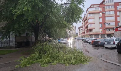 Jak vjetar u Nik&scaron;iću obarao stabla: O&scaron;tećena vozila i obustavljen saobraćaj