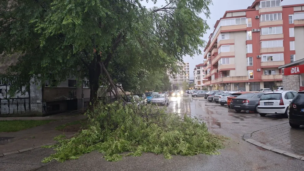 Jak vjetar u Nik&scaron;iću obarao stabla: O&scaron;tećena vozila i obustavljen saobraćaj