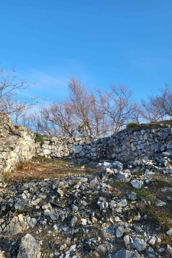 Zaraslo u korov i tajne: Nadležni "skrivaju" Bihor-grad od očiju javnosti