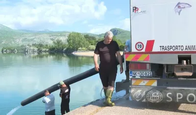 Nik&scaron;ićka jezera nova meka za mlade ribolovce, u&nbsp;SRK &bdquo;Nik&scaron;ić&rdquo; učlanjeno tridesetak dječaka