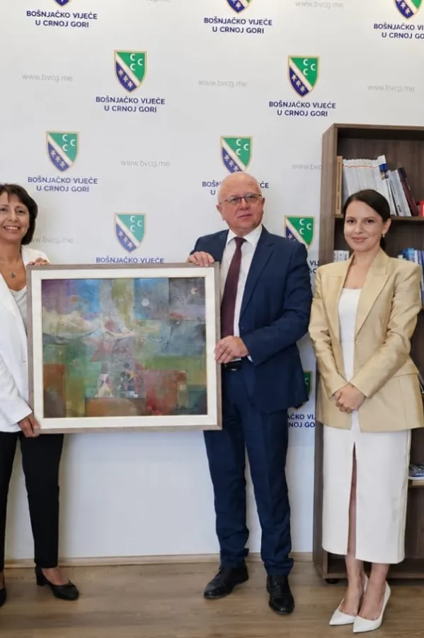 Djelovanjem TIKA-e realizovani brojni projekti