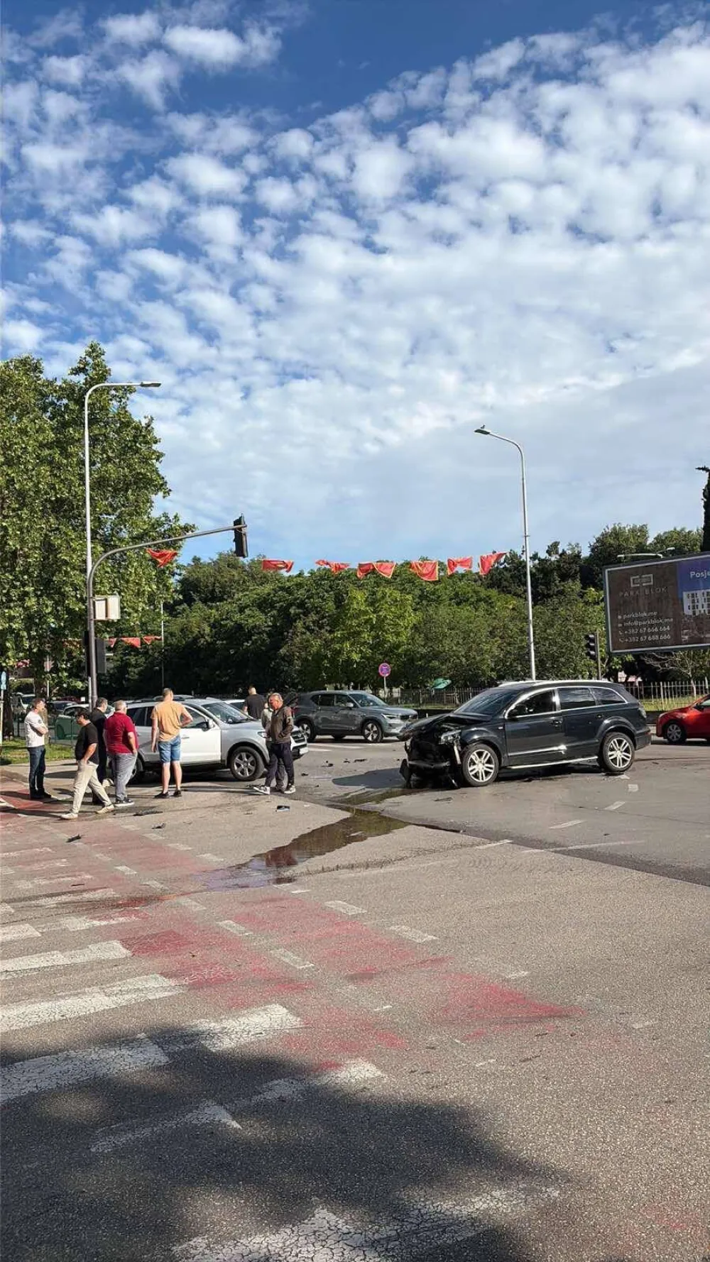 Susar u Podgorici