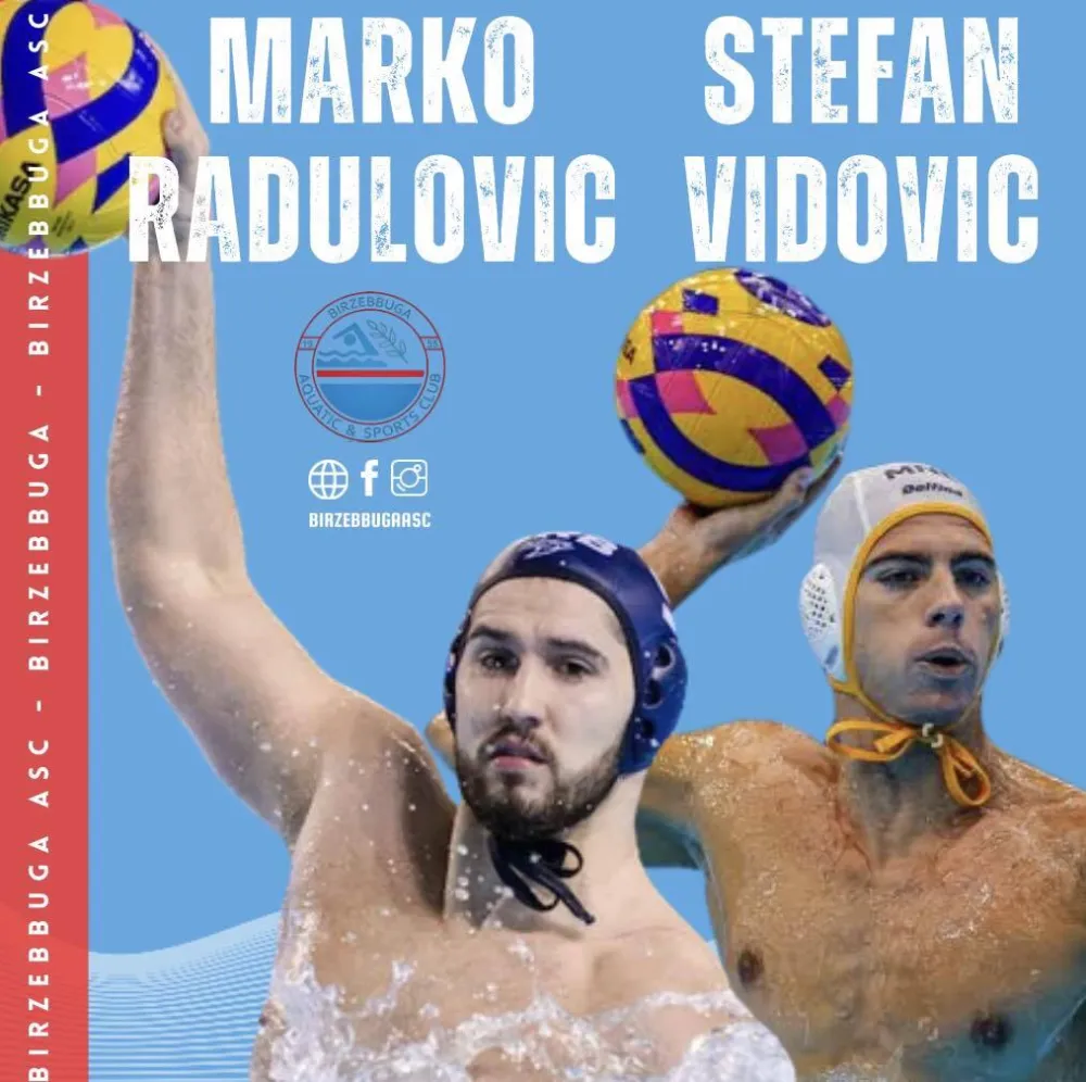 Radulović i Vidović