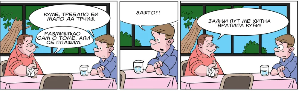 Mirko Zulić strip Dana