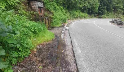 Herbicidom "kose" i korov i cvijeće