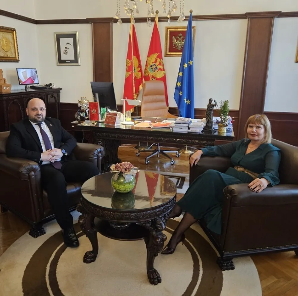 Pavličić i Božović novi predstavnici Crne Gore u Venecijanskoj komisiji