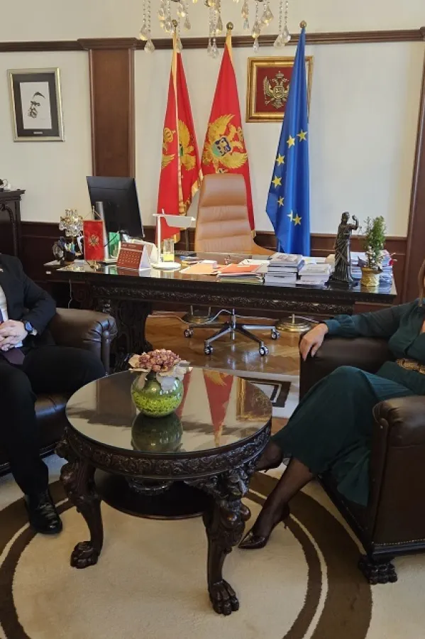 Pavličić i Božović novi predstavnici Crne Gore u Venecijanskoj komisiji