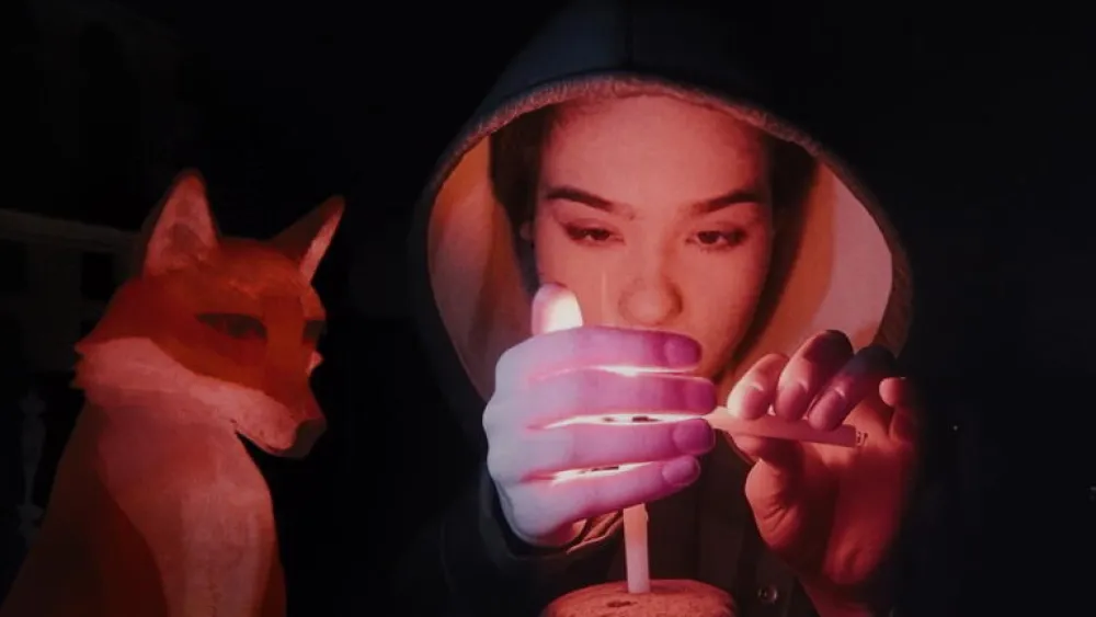 LISICA POD RUŽIČASTIM MJESECOM