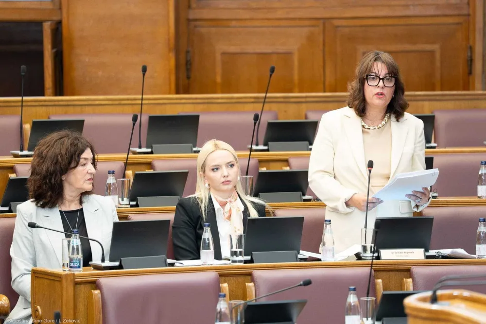 Vujović: Osuđujem medijske sadržaje koji diskrimini&scaron;u crnogorski identitet, odgovor države daju institucije