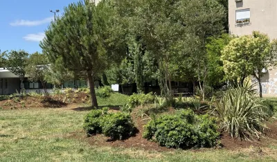 (VIDEO) U parku u Bloku V posađeno 350 sadnica