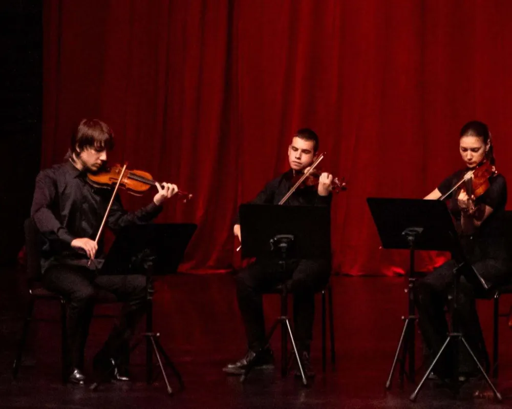 Vizual za koncert