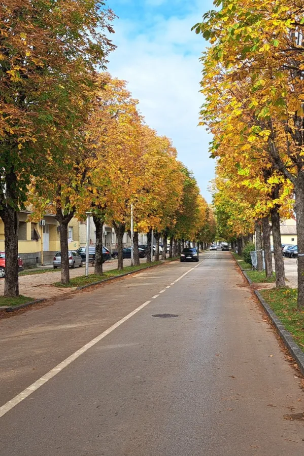 AMSCG: Povoljni uslovi za vožnju