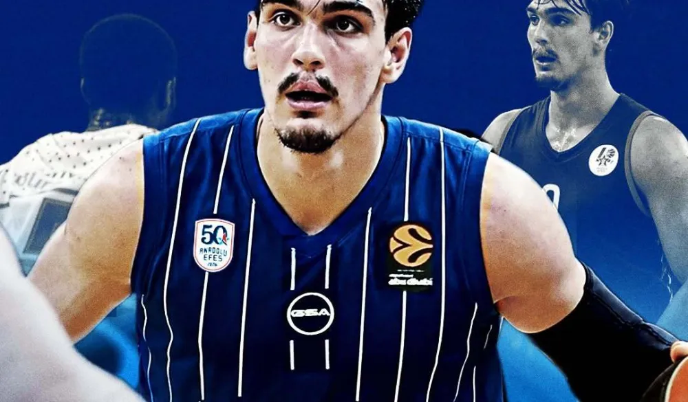 Dario &scaron;arić