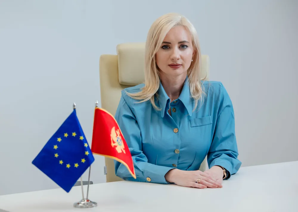 Gorčević: Crna Gora već sada doprinosi jačanju demokratske otpornosti Evrope