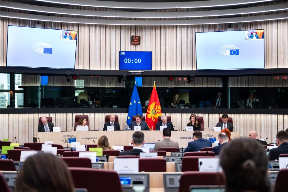 Izvje&scaron;taj EP za CG: Zabrinuti zbog zakona u unutra&scaron;jim poslovima i ANB-u