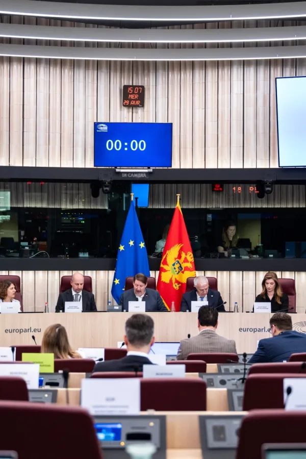 Izvje&scaron;taj EP za CG: Zabrinuti zbog zakona u unutra&scaron;jim poslovima i ANB-u