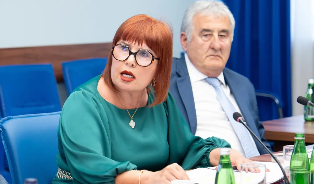 Pavličić: Svaka grana vlasti da preuzme odgovornost, sudska vlast ne može sama nositi teret vladavine prava