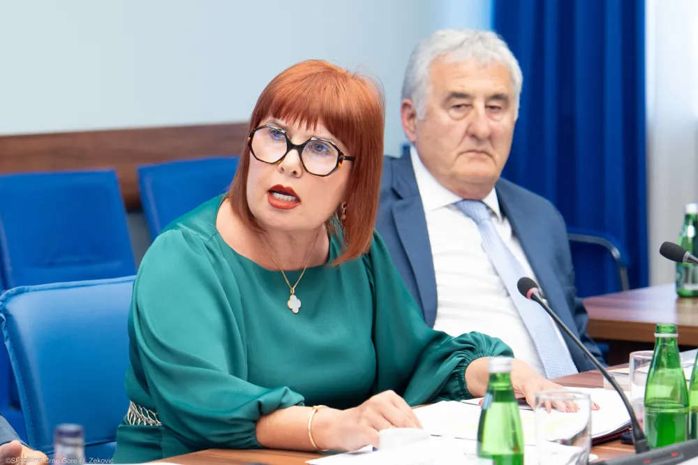 Pavličić: Svaka grana vlasti da preuzme odgovornost, sudska vlast ne može sama nositi teret vladavine prava