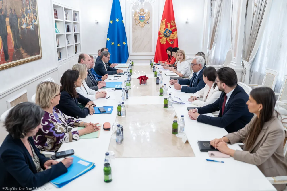 Mandić sa delegacijom Senata Republike Francuske