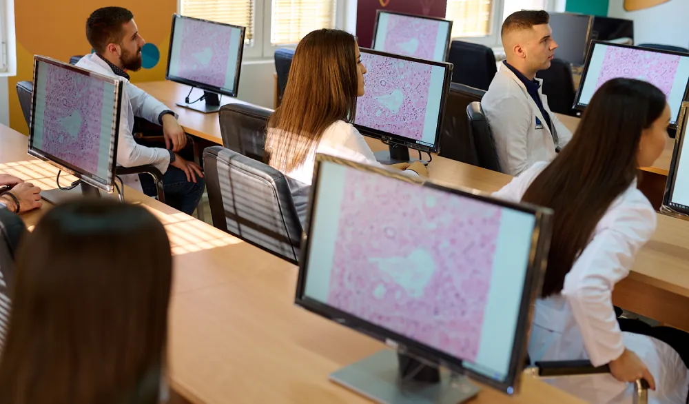 UCG raspisaće konkurs za bruco&scaron;e: Za stručnjake za specijalnu edukaciju samo 30 mjesta