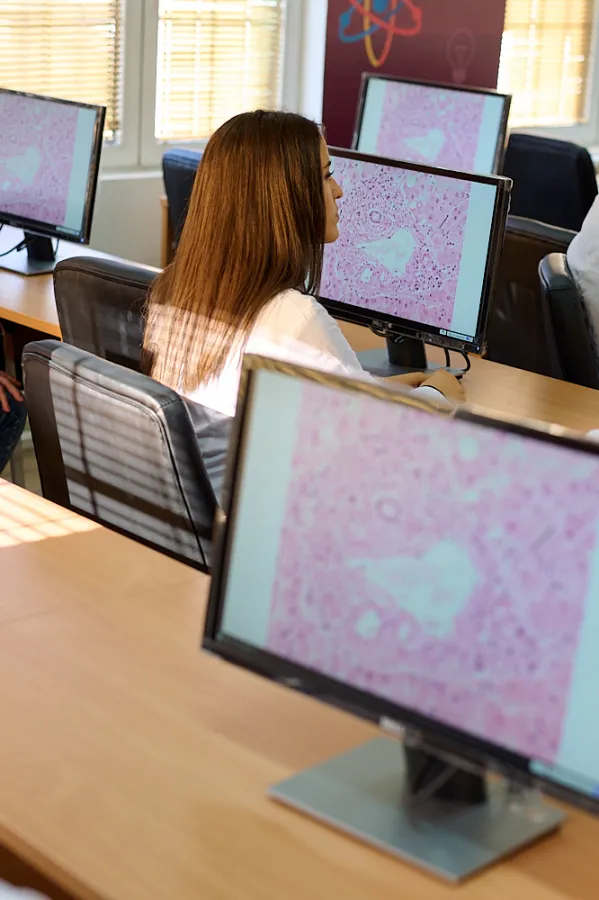 UCG raspisaće konkurs za bruco&scaron;e: Za stručnjake za specijalnu edukaciju samo 30 mjesta