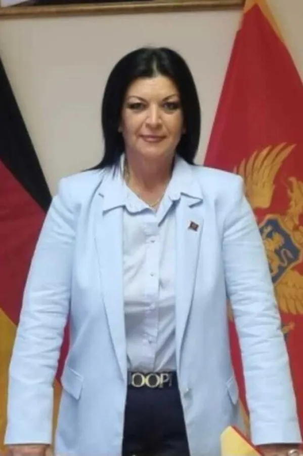 Čolović Kajević: Ne dirajte dijasporu i njeno pravo glasa