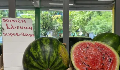 Domaća lubenica 1,20 eura&nbsp;