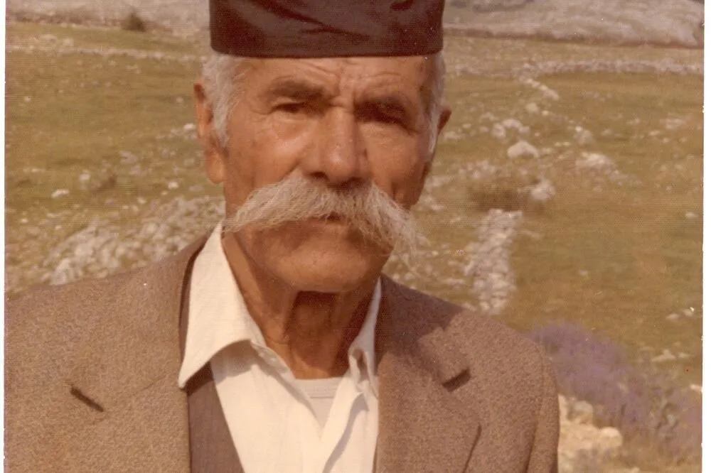 Dimitrije Đikanović j