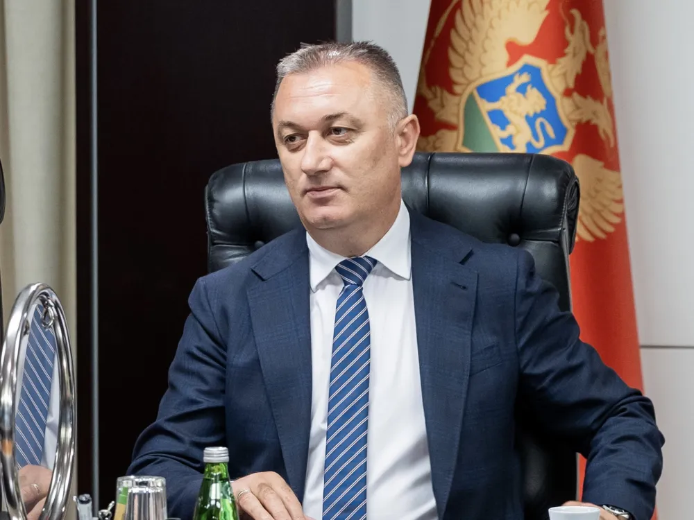 Damir Gutić