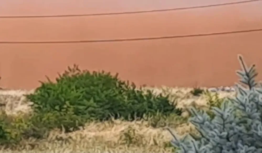 (VIDEO) Bazen crvenog mulja i dalje zadaje muke:&nbsp;Naselje u oblaku crvene pra&scaron;ine