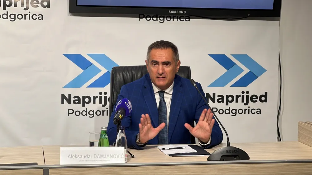 Damjanović: Ne tjerati strance koji doprinose ekonomiji