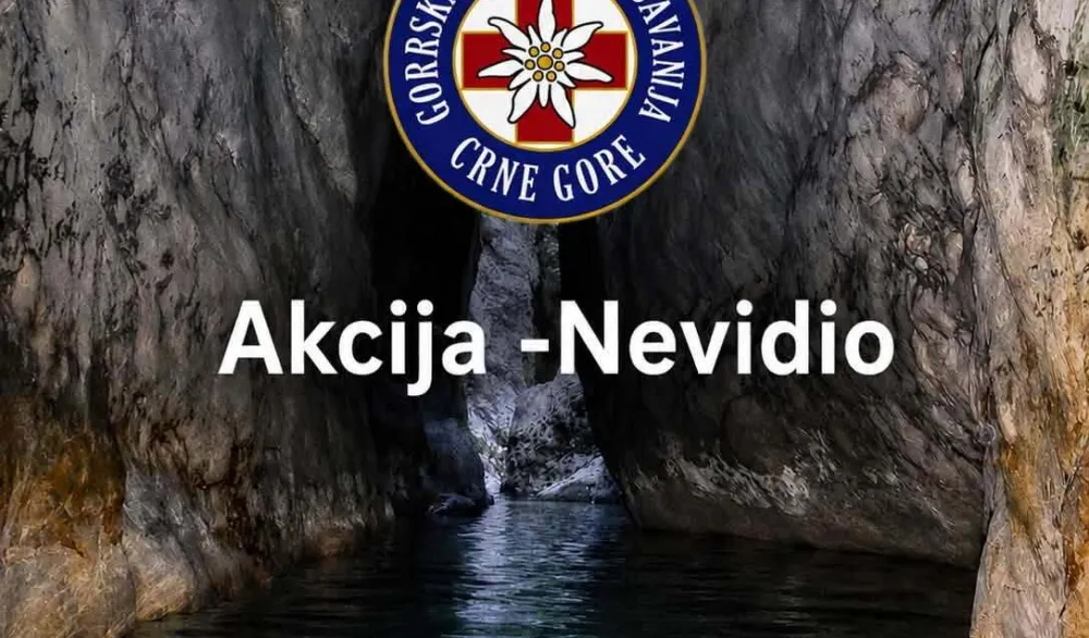 Akcija Nevidio