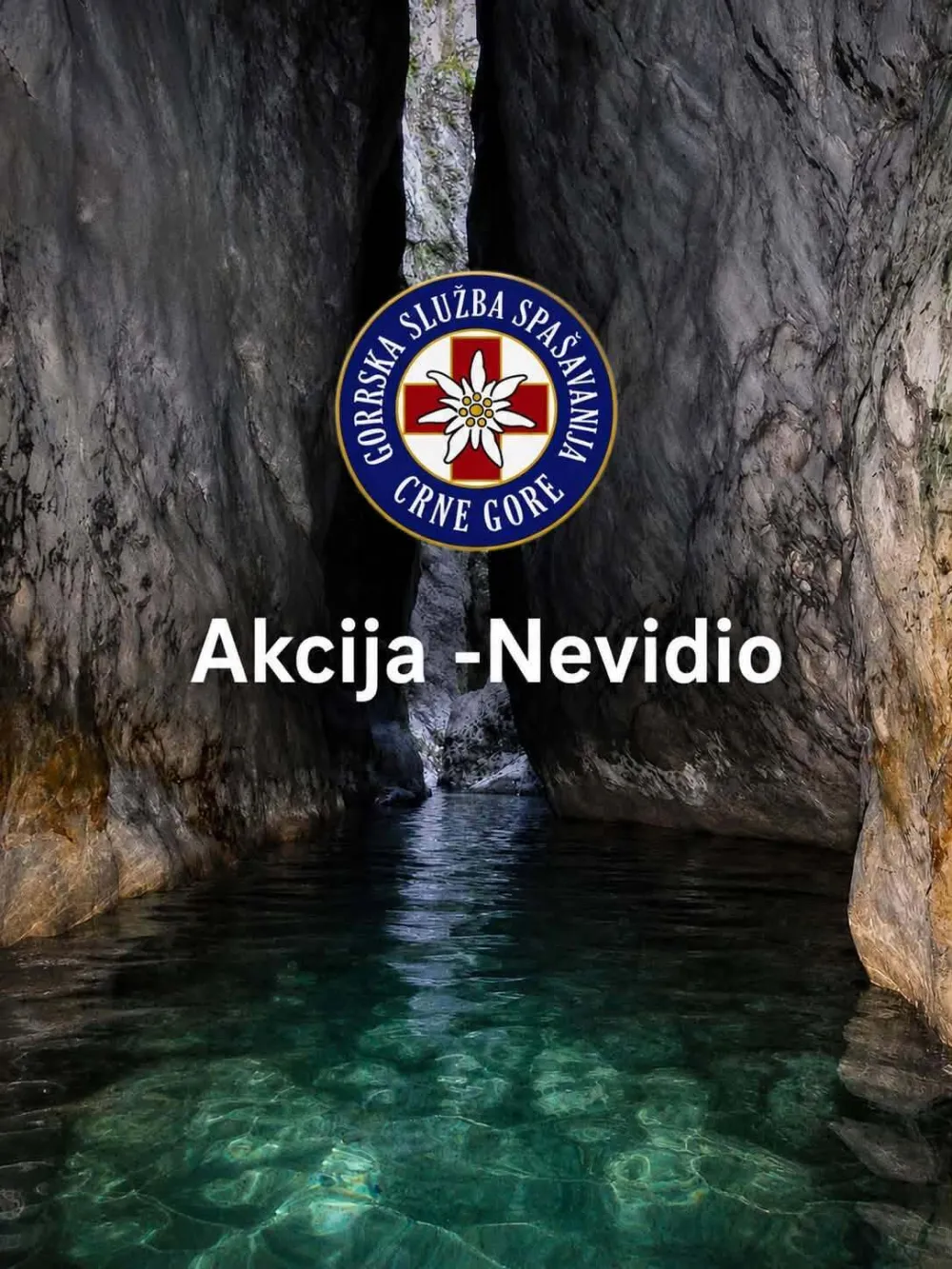 Akcija Nevidio