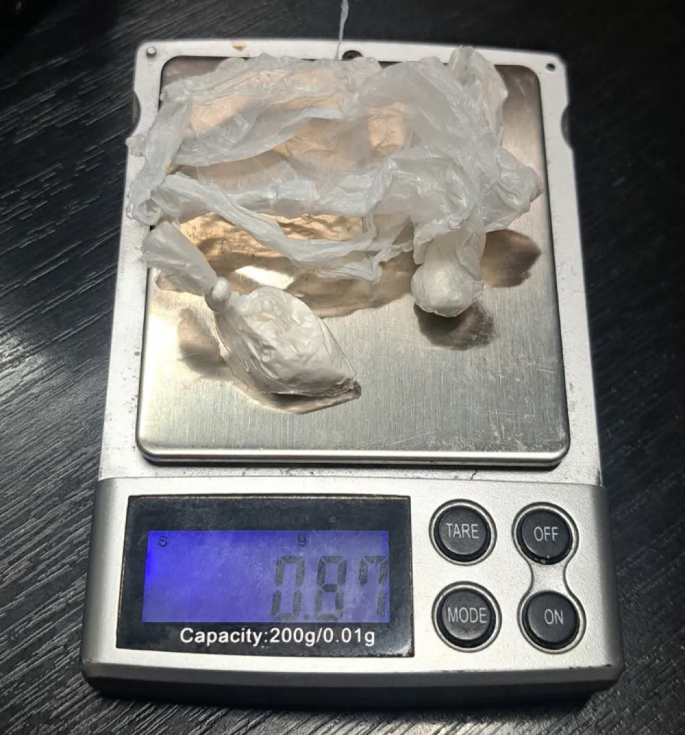 Zaplijenjena droga