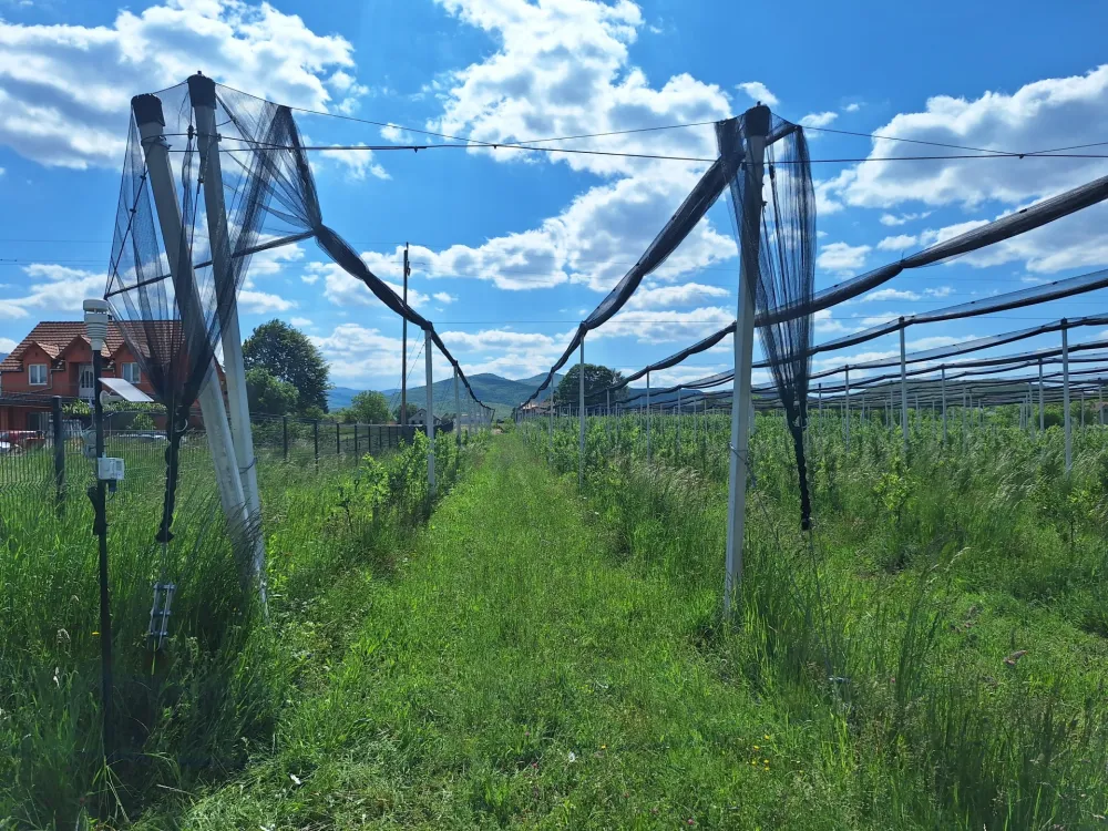 (FOTO) Instalirano pet stanica za monitoring zemlji&scaron;ta u okviru ECOBASE projekta