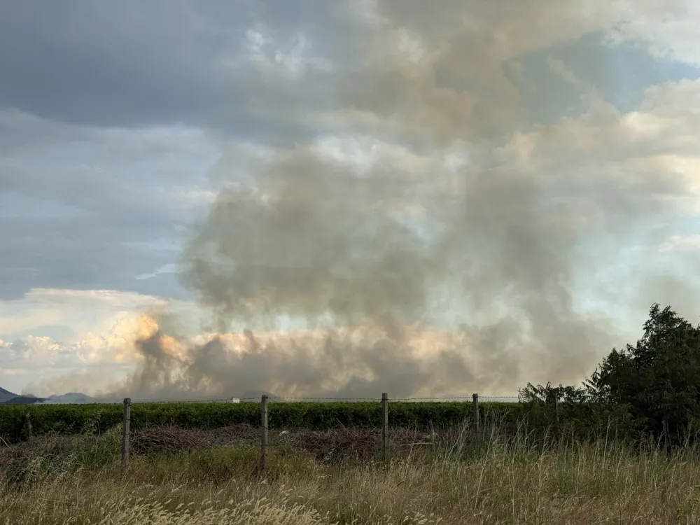 (VIDEO) Požar u krugu Plantaža: Gori trava