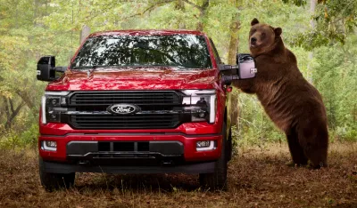  Ford angažovao medvjeda od 360 kg da provali u pikap
