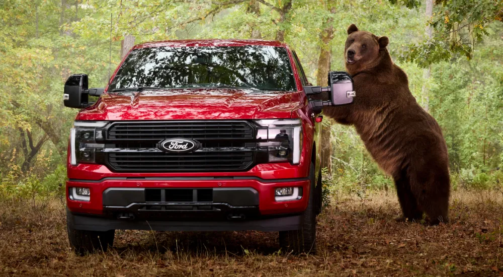 Ford angažovao medvjeda od 360 kg da provali u pikap