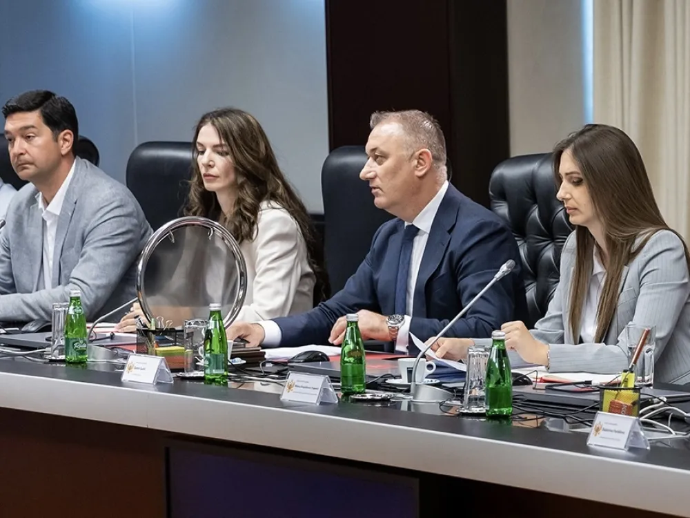 Savjet za demografiju: Crna Gora priprema sistemski odgovor na demografske izazove