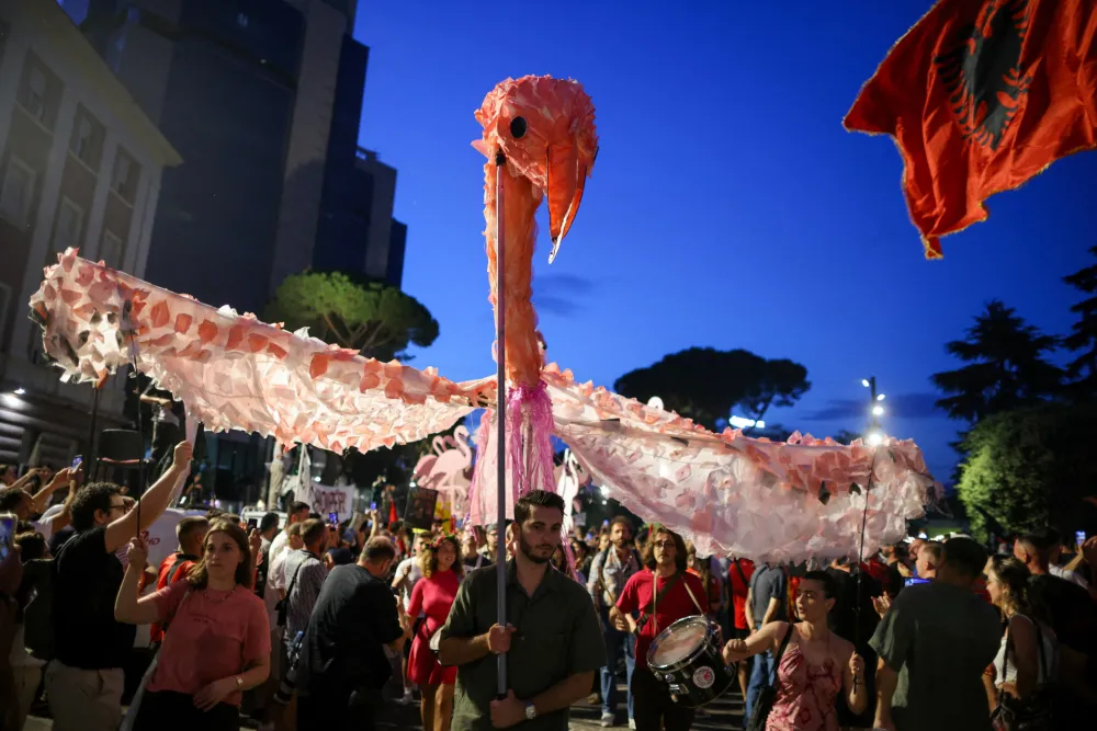 Flamingos, simbol protesta u Albaniji