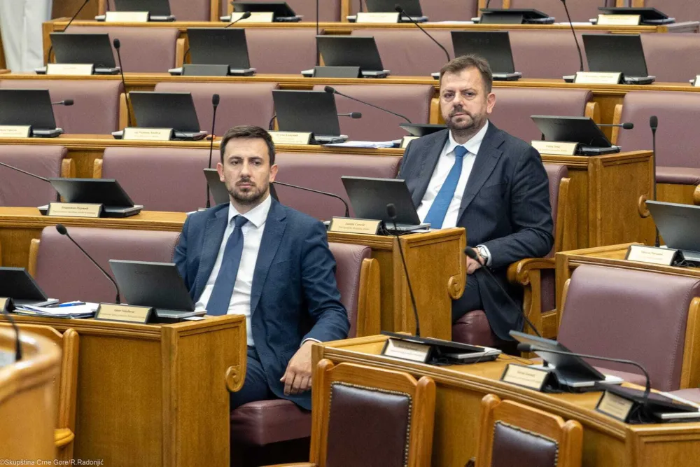 Poslanici&nbsp;uvode naknadu za materinstvo